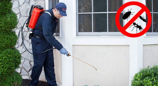Adaklı Böcek ve Haşere İlaçlama böcek ilaçlama ve haşere kontrolü — ilaclama-tr.com